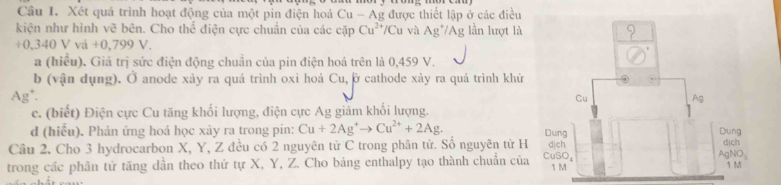 Xét quá trình hoạt động của một pin điện hoá Cu - Ag được thiết lập ở các điều 
kiện như hình vẽ bên. Cho thể điện cực chuẩn của các cặp Cu^(2+)/Cu và Ag^+/Ag lần lượt là
+0,340Vvi+0,799V. 
a (hiểu). Giá trị sức điện động chuẩn của pin điện hoá trên là 0,459 V. 
b (vận dụng). Ở anode xảy ra quá trình oxi hoá Cu, ở cathode xảy ra quá trình khữ 
Ag*. 
c. (biết) Điện cực Cu tăng khối lượng, điện cực Ag giảm khối lượng. 
d (hiểu). Phản ứng hoá học xảy ra trong pin: Cu+2Ag^+to Cu^(2+)+2Ag. 
Câu 2. Cho 3 hydrocarbon X, Y, Z đều có 2 nguyên tử C trong phân từ. Số nguyên tử H 
trong các phân tứ tăng dần theo thứ tự X, Y, Z. Cho bảng enthalpy tạo thành chuẩn của