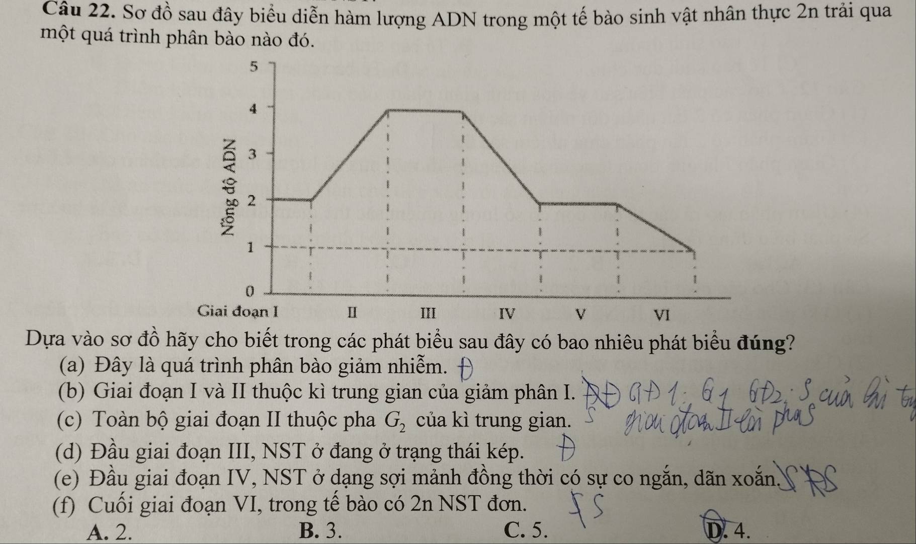 Sơ đồ sau đây biểu diễn hàm lượng ADN trong một tế bào sinh vật nhân thực 2n trải qua
một quá trình phân bào nào đó.
Dựa vào sơ đồ hãy cho biết trong các phát biểu sau đây có bao nhiêu phát biểu đúng?
(a) Đây là quá trình phân bào giảm nhiễm.
(b) Giai đoạn I và II thuộc kì trung gian của giảm phân I.
(c) Toàn bộ giai đoạn II thuộc pha G_2 của kì trung gian.
(d) Đầu giai đoạn III, NST ở đang ở trạng thái kép.
(e) Đầu giai đoạn IV, NST ở dạng sợi mảnh đồng thời có sự co ngắn, dãn xoắn
(f) Cuối giai đoạn VI, trong tế bào có 2n NST đơn.
A. 2. B. 3. C. 5. D. 4.