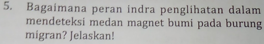 Bagaimana peran indra penglihatan dalam 
mendeteksi medan magnet bumi pada burung 
migran? Jelaskan!