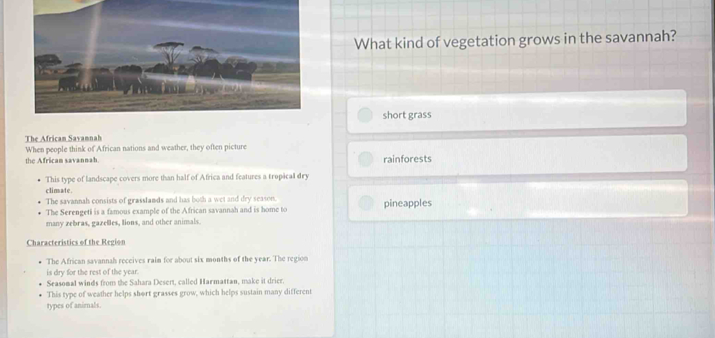 What kind of vegetation grows in the savannah?
short grass
The African Sayannah
When people think of African nations and weather, they often picture
the African savannah. rainforests
This type of landscape covers more than half of Africa and features a tropical dry
climate.
The savannah consists of grasslands and has both a wet and dry season. pineapples
The Serengeti is a famous example of the African savannah and is home to
many zebras, gazelles, lions, and other animals.
Characteristics of the Region
The African savannah receives rain for about six months of the year. The region
is dry for the rest of the year.
Seasonal winds from the Sahara Desert, called Harmattan, make it drier.
This type of weather helps short grasses grow, which helps sustain many different
types of animals.