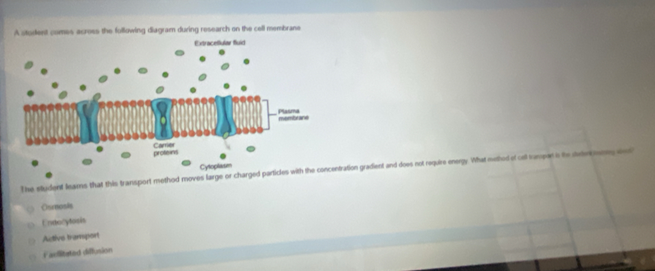 A student comes across the following diagram during research on the cell membrane
The student lears that this transport method moves large or chargeration gradient and does not require energy. What methed of cell trampart is the dutr ng d
Osmosis
Endocytosis
Active tramsport
Facilitated diffusion