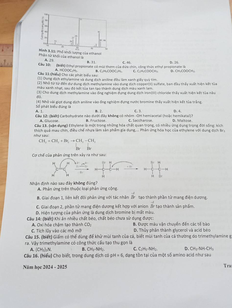 lượng của ethanol
Phân tử khối của ethanol là
A. 29. B. 31. C. 46. D. 26.
Câu 10: (biết) Ethyl propionate có mùi thơm của dứa chín, công thức ethyl propionate là
A. HCOOC₂H₅. B. C₂H₅COOC₂H₅. C. C₂H₅COOCH₃. D. C H_3COOCH_3
Câu 11:(hiểu) Cho các phát biểu sau:
(1) Dung dịch ethylamine và dung dịch aniline đều làm xanh giấy quỳ tím.
(2) Nhỏ từ từ đến dư dung dịch methylamine vào dung dịch copper(II) sulfate, ban đầu thấy xuất hiện kết tủa
màu xanh nhạt, sau đó kết tủa tan tạo thành dung dịch màu xanh lam.
(3) Cho dung dịch methylamine vào ống nghiệm đựng dung dịch iron(III) chloride thấy xuất hiện kết tủa nâu
đỏ.
(4) Nhỏ vài giọt dung dịch aniline vào ống nghiệm đựng nước bromine thấy xuất hiện kết tủa trắng.
Số phát biểu đúng là
A. 1. B. 2. C. 3. D. 4.
Câu 12: (biết) Carbohydrate nào dưới đây không có nhóm -OH hemiacetal (hoặc hemikatal)?
A. Glucose. B. Fructose. C. Saccharose. D. Maltose.
Câu 13. (vận dụng) Ethylene là một trong những hóa chất quan trọng, có nhiều ứng dụng trọng đời sống: kích
thích quả mau chín, điều chế nhựa làm sản phẩm gia dụng,... Phản ứng hóa học của ethylene với dung dịch Brz
như sau:
CH_2=CH_2+Br_2to CH_2-CH_2
Br Br
Cơ chế của phản ứng trên xảy ra như sau:
Br H Br H
+ Br
H -H H H
H
H Br
Nhận định nào sau đây không đúng?
A. Phản ứng trên thuộc loại phản ứng cộng.
-8
B. Giai đoạn 1, liên kết đôi phản ứng với tác nhân Br tạo thành phần tử mang điện dương.
C. Giai đoạn 2, phần tử mang điện dương kết hợp với anion beginarrayr -delta  Brendarray tạo thành sản phẩm.
D. Hiện tượng của phản ứng là dung dịch bromine bị mất màu.
Câu 14: (biết) Khi ăn nhiều chất béo, chất béo chưa sử dụng được:
A. Oxi hóa chậm tạo thành CO_2 B. Được máu vận chuyển đến các tế bào
C. Tích lũy vào các mô mỡ D. Thủy phân thành glycerol và acid béo
Câu 15. (biết) Giấm có thể dùng để khử mùi tanh của cá, biết mùi tanh của cá thường do trimethylamine g
ra. Vậy trimethylamine có công thức cấu tạo thu gọn là
A. (CH_3)_3N. B. CH_3-NH_2. C. C_2H_5-NH_2. D. CH_3-NH-CH_3
Câu 16. (hiểu) Cho biết, trong dung dịch có pH=6 5, dạng tồn tại của một số amino acid như sau
Năm học 2024 - 2025 Tra