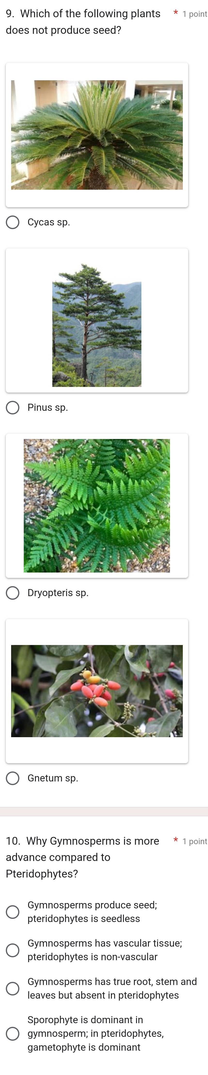 Which of the following plants 1 point
does not produce seed?
Cycas sp.
Pinus sp.
Dryopteris sp.
Gnetum sp.
10. Why Gymnosperms is more 1 point
advance compared to
Pteridophytes?
Gymnosperms produce seed;
pteridophytes is seedless
Gymnosperms has vascular tissue;
pteridophytes is non-vascular
Gymnosperms has true root, stem and
leaves but absent in pteridophytes
Sporophyte is dominant in
gymnosperm; in pteridophytes,
gametophyte is dominant