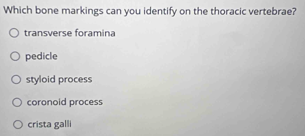 Which bone markings can you identify on the thoracic vertebrae?
transverse foramina
pedicle
styloid process
coronoid process
crista galli