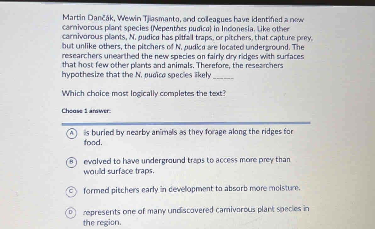 Martin Dančák, Wewin Tjiasmanto, and colleagues have identifed a new
carnivorous plant species (Nepenthes pudica) in Indonesia. Like other
carnivorous plants, N. pudica has pitfall traps, or pitchers, that capture prey,
but unlike others, the pitchers of N. pudica are located underground. The
researchers unearthed the new species on fairly dry ridges with surfaces
that host few other plants and animals. Therefore, the researchers
hypothesize that the N. pudica species likely_
Which choice most logically completes the text?
Choose 1 answer:
A is buried by nearby animals as they forage along the ridges for
food.
B) evolved to have underground traps to access more prey than
would surface traps.
formed pitchers early in development to absorb more moisture.
represents one of many undiscovered carnivorous plant species in
the region.