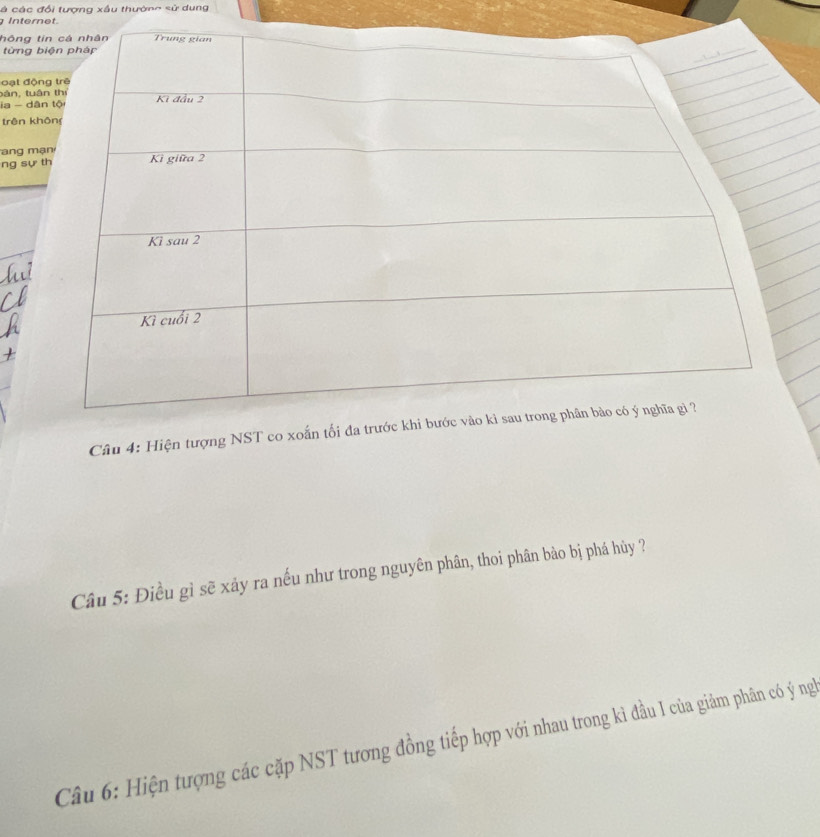 à các đổi tượng xầu thường sử dung 
Internet. 
hông t 
từng 
oạt độ 
bán, tuâ 
ia - dâ 
trên kh 
ng 
ng sự 
Câu 4: Hiện tượng NST co xoấn tối đ 
Câu 5: Điều gỉ sẽ xảy ra nếu như trong nguyên phân, thoi phân bào bị phá hủy ? 
Câu 6: Hiện tượng các cặp NST tương đồng tiếp hợp với nhau trong kì đầu I của giảm phân có ý ng