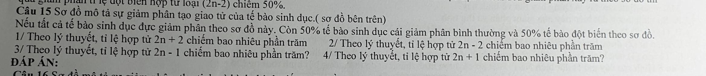 đ ộ t biển hợp từ loại (2n-2) chiếm 50%. 
Câu 15 Sơ đồ mô tả sự giảm phân tạo giao tử của tế bào sinh dục.( sợ đồ bên trên) 
Nếu tất cả tế bào sinh dục đực giảm phần theo sơ đồ này. Còn 50% tế bào sinh dục cái giảm phân bình thường và 50% tế bào đột biến theo sơ đồ. 
1/ Theo lý thuyết, tỉ lệ hợp tử 2n+2 chiếm bao nhiêu phần trăm 2 Theo lý thuyết, tỉ lệ hợp tử 21 -2 2 chiếm bao nhiêu phần trăm 
3/ Theo lý thuyết, tỉ lệ hợp tử 2n-1 chiếm bao nhiêu phần trăm? 4/ Theo lý thuyết, tỉ lệ hợp tử 2n+1 chiếm bao nhiêu phần trăm? 
ĐÁP ÁN: