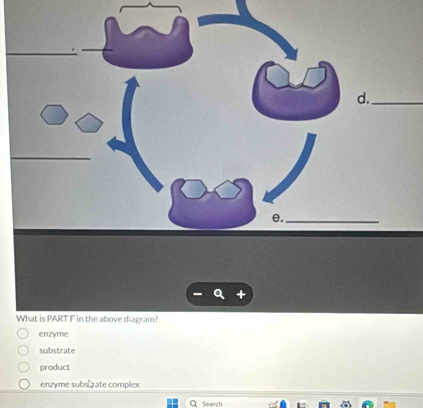 What is PART F in the above diagram?
enzyme
substrate
product
enzyme subs , ate complex
Search