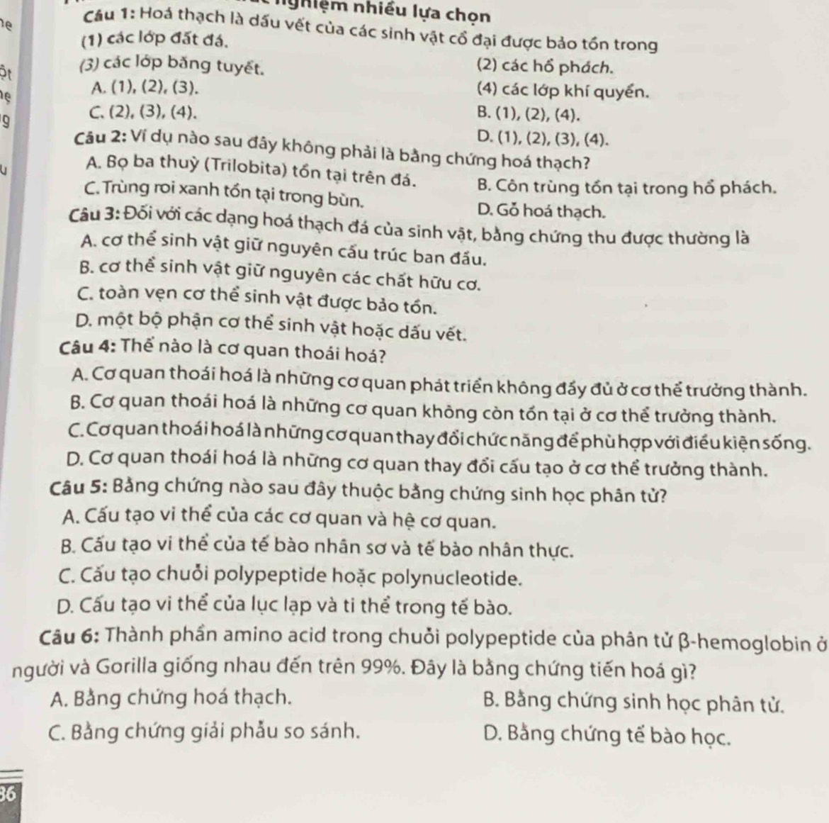 nghiệm nhiều lựa chon
le
Cầu 1: Hoá thạch là dấu vết của các sinh vật cổ đại được bảo tồn trong
(1) các lớp đất đá.
ôt (3) các lớp băng tuyết.
(2) các hổ phách.
A. (1), (2), (3). (4) các lớp khí quyển.
e B. (1), (2), (4).
C. (2), (3), (4).
9 D. (1), (2), (3), (4).
Cầu 2: Ví dụ nào sau đây không phải là bằng chứng hoá thạch?
A. Bọ ba thuỳ (Trilobita) tồn tại trên đá. B. Côn trùng tồn tại trong hổ phách.
C. Trùng roi xanh tồn tại trong bùn. D. Gỏ hoá thạch.
Câu 3: Đối với các dạng hoá thạch đá của sinh vật, bằng chứng thu được thường là
A. cơ thể sinh vật giữ nguyên cấu trúc ban đấu.
B. cơ thể sinh vật giữ nguyên các chất hữu cơ.
C. toàn vẹn cơ thể sinh vật được bảo tồn.
D. một bộ phận cơ thể sinh vật hoặc dấu vết.
Câu 4: Thế nào là cơ quan thoái hoá?
A. Cơ quan thoái hoá là những cơ quan phát triển không đấy đủ ở cơ thể trưởng thành.
B. Cơ quan thoái hoá là những cơ quan không còn tồn tại ở cơ thể trưởng thành.
C. Cơ quan thoái hoá là những cơ quan thay đổi chức năng để phù hợp với điều kiện sống.
D. Cơ quan thoái hoá là những cơ quan thay đổi cấu tạo ở cơ thể trưởng thành.
Câu 5: Bằng chứng nào sau đây thuộc bằng chứng sinh học phân tử?
A. Cấu tạo vi thể của các cơ quan và hệ cơ quan.
B. Cấu tạo vi thể của tế bào nhân sơ và tế bào nhân thực.
C. Cău tạo chuỗi polypeptide hoặc polynucleotide.
D. Cấu tạo vi thể của lục lạp và ti thể trong tế bào.
Câu 6: Thành phần amino acid trong chuỏi polypeptide của phân tử β-hemoglobin ở
người và Gorilla giống nhau đến trên 99%. Đây là bằng chứng tiến hoá gì?
A. Bằng chứng hoá thạch. B. Bằng chứng sinh học phân tử.
C. Bằng chứng giải phẫu so sánh. D. Bằng chứng tế bào học.
36