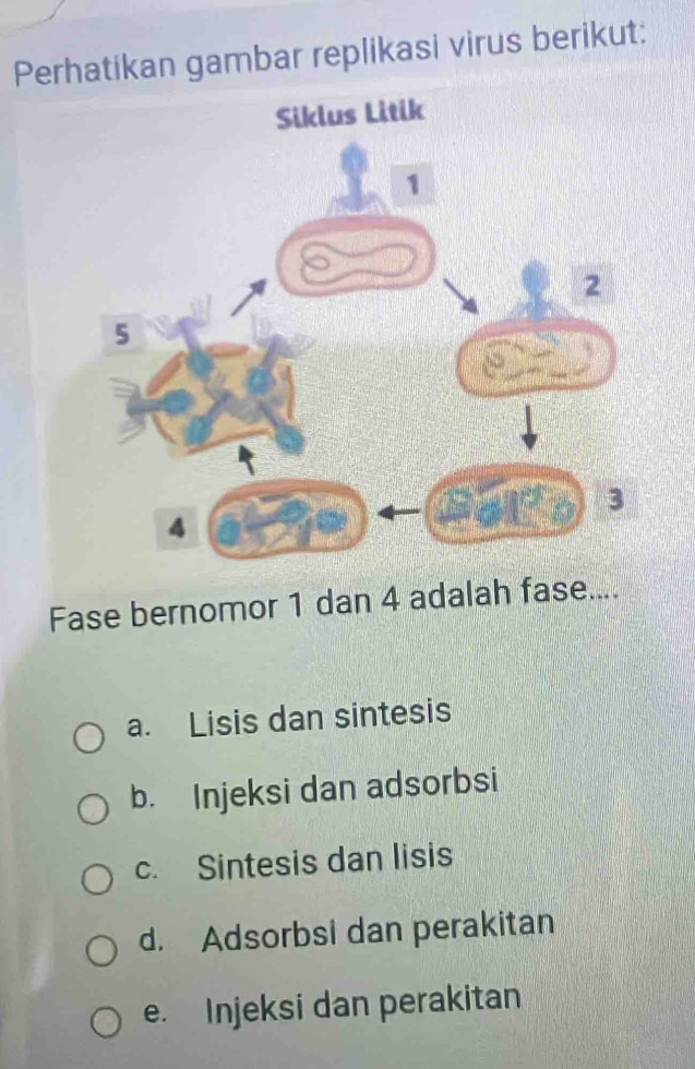 Perhatikan gambar replikasi virus berikut:
Fase bernomor 1 dan 4 adalah fase....
a. Lisis dan sintesis
b. Injeksi dan adsorbsi
c. Sintesis dan lisis
d. Adsorbsi dan perakitan
e. Injeksi dan perakitan