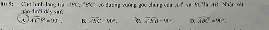 Tâu 9: Cho hình lăng trụ ABC. A 'B'C' có đường vuông góc chung của AA' và BC' là AB. Nhận xét
nào dưới đây sai?
A. widehat A'C'B'=90°. B. widehat ABC=90°. C widehat A'B'B=90°. D. widehat ABC'=90°.