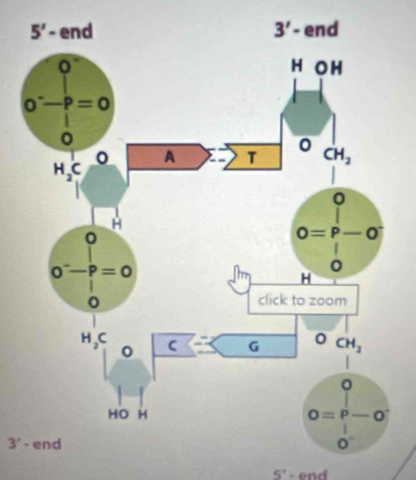 3^
5^x - end