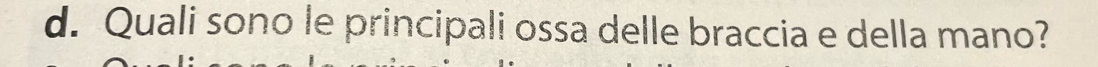 Quali sono le principali ossa delle braccia e della mano?