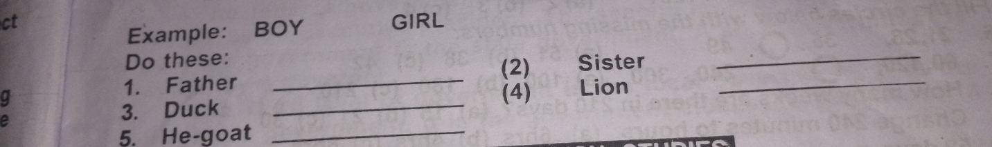 ct GIRL 
Example: BOY 
Do these: Sister_ 
(2) 
1. Father 
q 
_ 
e 
3. Duck _(4) Lion 
_ 
5. He-goat_