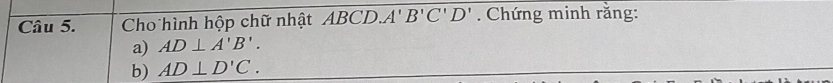 Cho hình hộp chữ nhật ABCD.. A'B'C'D'. Chứng minh rằng: 
a) AD⊥ A'B'. 
b) AD⊥ D'C.