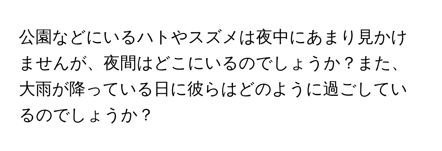 公園などにいるハトやスズメは夜中にあまり見かけませんが、夜間はどこにいるのでしょうか？また、大雨が降っている日に彼らはどのように過ごしているのでしょうか？