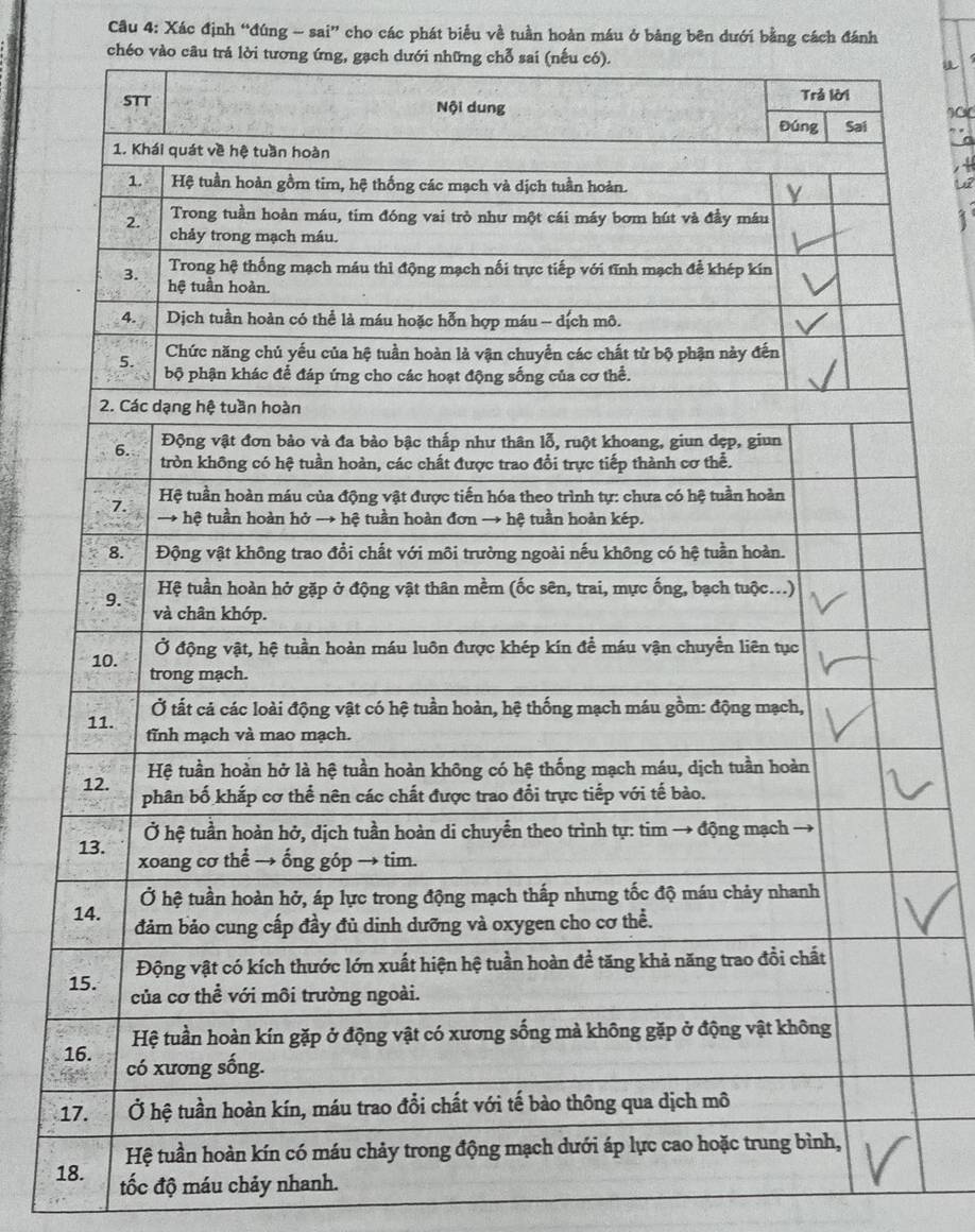 Xác định “đúng -- sai” cho các phát biểu về tuần hoàn máu ở bảng bên dưới bằng cách đánh 
chéo vào câu trả lời tương ứng, gạch dưới những chỗ sai (nếu có). a 
18. tốc độ máu chảy nhanh.