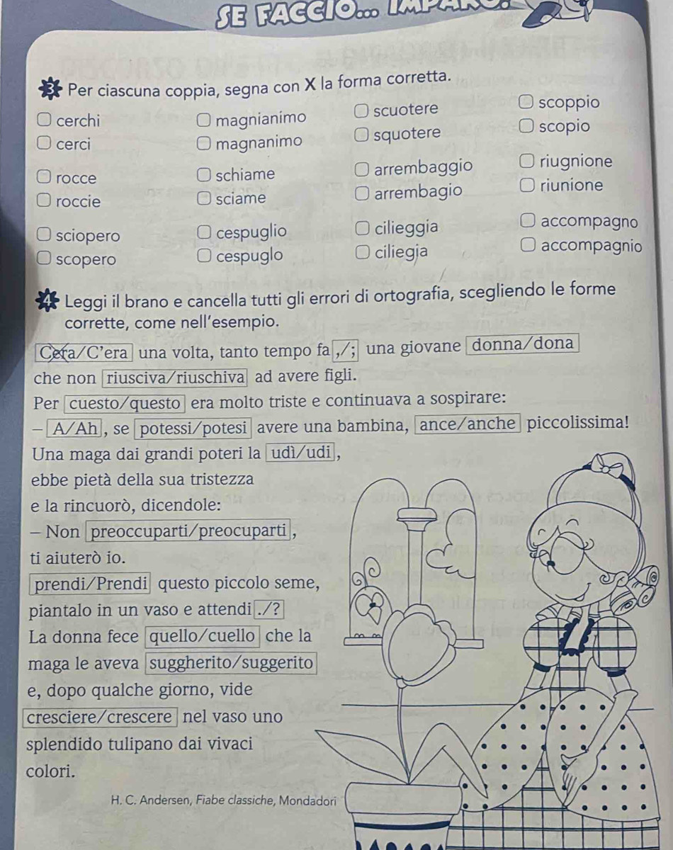 Se faccio. Imparo 
Per ciascuna coppia, segna con X la forma corretta. 
cerchi magnianimo scuotere scoppio 
cerci magnanimo squotere 
scopio 
rocce schiame arrembaggio riugnione 
roccie sciame arrembagio 
riunione 
sciopero cespuglio cilieggia 
accompagno 
scopero cespuglo ciliegia 
accompagnio 
Leggi il brano e cancella tutti gli errori di ortografia, scegliendo le forme 
corrette, come nell’esempio. 
Cera/C’era una volta, tanto tempo fa ,; una giovane donna/dona 
che non [riusciva/riuschiva| ad avere figli. 
Per [cuesto/questo] era molto triste e continuava a sospirare: 
- A/Ah, se potessi/potesi avere una bambina, ance/anche piccolissima! 
Una maga dai grandi poteri la udì/ 
ebbe pietà della sua tristezza 
e la rincuoró, dicendole: 
- Non preoccuparti/preocuparti ， 
ti aiuterò io. 
prendi/Prendi| questo piccolo sem 
piantalo in un vaso e attendi[./? 
La donna fece quello/cuello|che la 
maga le aveva suggherito/suggerit 
e, dopo qualche giorno, vide 
cresciere/crescere nel vaso uno 
splendido tulipano dai vivaci 
colori. 
H. C. Andersen, Fiabe classiche, Mond