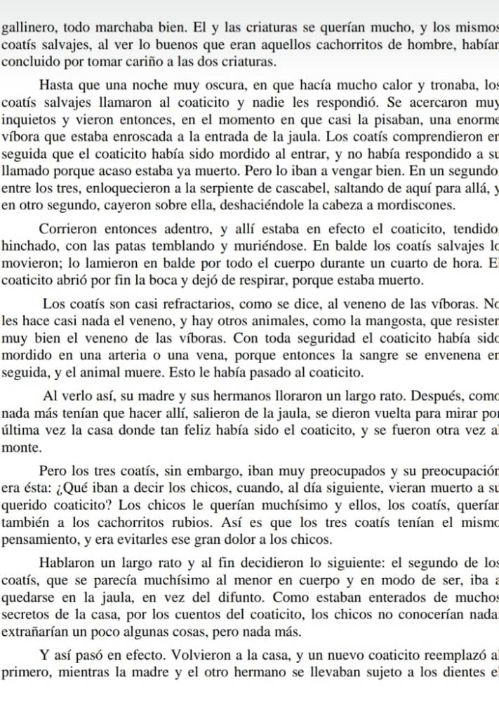 gallinero, todo marchaba bien. El y las criaturas se querían mucho, y los mismos
coatís salvajes, al ver lo buenos que eran aquellos cachorritos de hombre, habían
concluido por tomar cariño a las dos criaturas.
Hasta que una noche muy oscura, en que hacía mucho calor y tronaba, los
coatís salvajes llamaron al coaticito y nadie les respondió. Se acercaron muy
inquietos y vieron entonces, en el momento en que casi la pisaban, una enorme
víbora que estaba enroscada a la entrada de la jaula. Los coatís comprendieron en
seguida que el coaticito había sido mordido al entrar, y no había respondido a su
llamado porque acaso estaba ya muerto. Pero lo iban a vengar bien. En un segundo
entre los tres, enloquecieron a la serpiente de cascabel, saltando de aquí para allá, y
en otro segundo, cayeron sobre ella, deshaciéndole la cabeza a mordiscones.
Corrieron entonces adentro, y allí estaba en efecto el coaticito, tendido
hinchado, con las patas temblando y muriéndose. En balde los coatís salvajes lo
movieron; lo lamieron en balde por todo el cuerpo durante un cuarto de hora. El
coaticito abrió por fin la boca y dejó de respirar, porque estaba muerto.
Los coatís son casi refractarios, como se dice, al veneno de las víboras. No
les hace casi nada el veneno, y hay otros animales, como la mangosta, que resister
muy bien el veneno de las víboras. Con toda seguridad el coaticito había sido
mordido en una arteria o una vena, porque entonces la sangre se envenena en
seguida, y el animal muere. Esto le había pasado al coaticito.
Al verlo así, su madre y sus hermanos lloraron un largo rato. Después, como
nada más tenían que hacer allí, salieron de la jaula, se dieron vuelta para mirar por
última vez la casa donde tan feliz había sido el coaticito, y se fueron otra vez a
monte.
Pero los tres coatís, sin embargo, iban muy preocupados y su preocupación
era ésta: ¿Qué iban a decir los chicos, cuando, al día siguiente, vieran muerto a su
querido coaticito? Los chicos le querían muchísimo y ellos, los coatís, querían
también a los cachorritos rubios. Así es que los tres coatís tenían el mismo
pensamiento, y era evitarles ese gran dolor a los chicos.
Hablaron un largo rato y al fin decidieron lo siguiente: el segundo de los
coatís, que se parecía muchísimo al menor en cuerpo y en modo de ser, iba a
quedarse en la jaula, en vez del difunto. Como estaban enterados de muchos
secretos de la casa, por los cuentos del coaticito, los chicos no conocerían nada
extrañarían un poco algunas cosas, pero nada más.
Y así pasó en efecto. Volvieron a la casa, y un nuevo coaticito reemplazó a
primero, mientras la madre y el otro hermano se llevaban sujeto a los dientes el