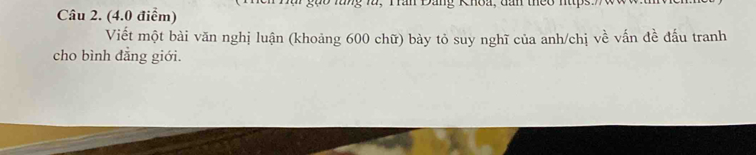 gào lăng và, Trần Đang Khoa, đan theo nttps: 
Câu 2. (4.0 điểm) 
Viết một bài văn nghị luận (khoảng 600 chữ) bày tỏ suy nghĩ của anh/chị về vấn đề đấu tranh 
cho bình đẳng giới.