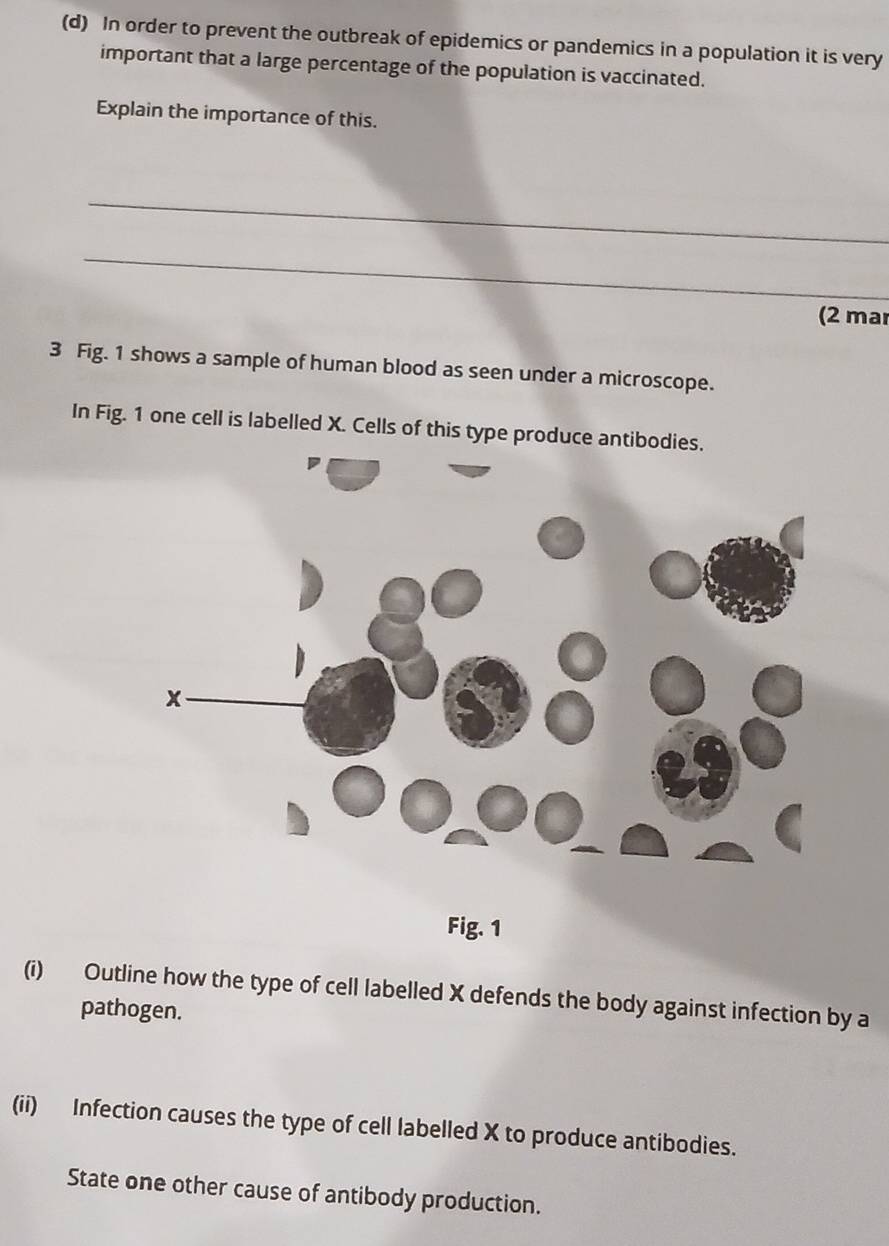 In order to prevent the outbreak of epidemics or pandemics in a population it is very 
important that a large percentage of the population is vaccinated. 
Explain the importance of this. 
_ 
_ 
(2 mar 
3 Fig. 1 shows a sample of human blood as seen under a microscope. 
In Fig. 1 one cell is labelled X. Cells of this type produce antibodies. 
Fig. 1 
(i) Outline how the type of cell labelled X defends the body against infection by a 
pathogen. 
(ii) Infection causes the type of cell labelled X to produce antibodies. 
State one other cause of antibody production.