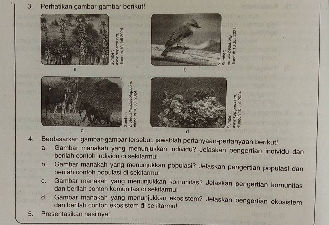 Perhatikan gambar-gambar berikut! 
。 
é 
a 
。 
C 
d 
4. Berdasarkan gambar-gambar tersebut, jawablah pertanyaan-pertanyaan berikut! 
a. Gambar manakah yang menunjukkan individu? Jelaskan pengertian individu dan 
berilah contoh individu di sekitarmu! 
b. Gambar manakah yang menunjukkan populasi? Jelaskan pengertian populasi dan 
berilah contoh populasi di sekitarmu! 
c. Gambar manakah yang menunjukkan komunitas? Jelaskan pengertian komunitas 
dan berilah contoh komunitas di sekitarmu! 
d. Gambar manakah yang menunjukkan ekosistem? Jelaskan pengertian ekosistem 
dan berilah contoh ekosistem đi sekitarmu! 
5. Presentasikan hasilnya!