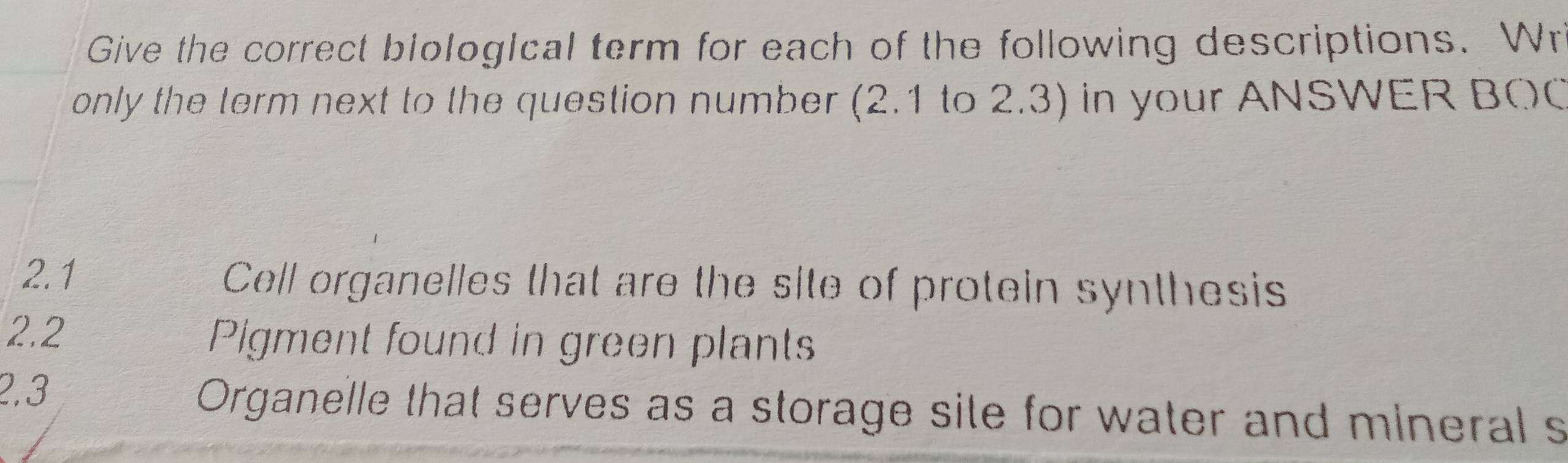 Give the correct biological term for each of the following descriptions. Wr 
only the term next to the question number (2.1 to 2.3) in your ANSWER BOC 
2.1 Cell organelles that are the site of protein synthesis 
2.2 Pigment found in green plants 
2, 3 Organelle that serves as a storage site for water and mineral s