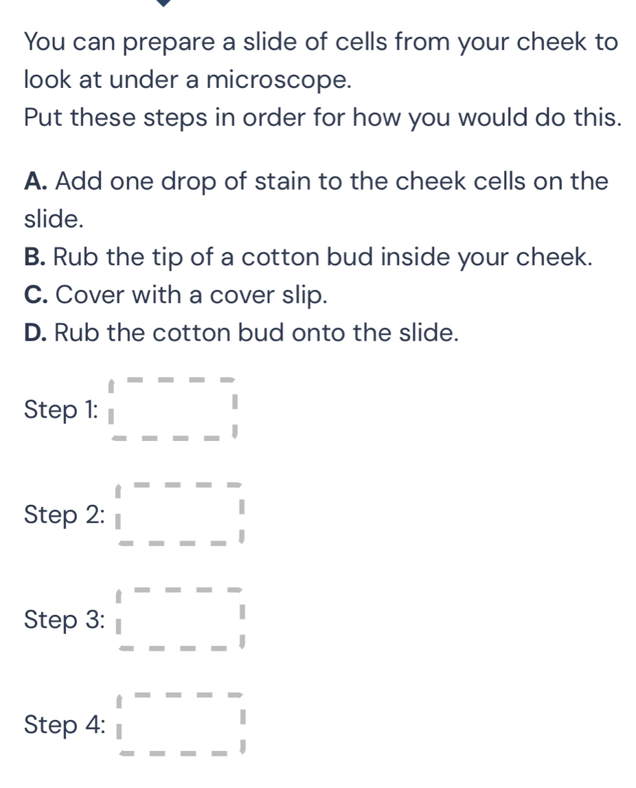 You can prepare a slide of cells from your cheek to 
look at under a microscope. 
Put these steps in order for how you would do this. 
A. Add one drop of stain to the cheek cells on the 
slide. 
B. Rub the tip of a cotton bud inside your cheek. 
C. Cover with a cover slip. 
D. Rub the cotton bud onto the slide. 
Step 1: _  _  
Step 2: □ F--□
Step 3: □ □ 
Step 4: □