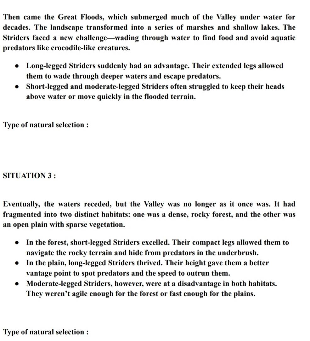 Then came the Great Floods, which submerged much of the Valley under water for
decades. The landscape transformed into a series of marshes and shallow lakes. The
Striders faced a new challenge—wading through water to find food and avoid aquatic
predators like crocodile-like creatures.
Long-legged Striders suddenly had an advantage. Their extended legs allowed
them to wade through deeper waters and escape predators.
Short-legged and moderate-legged Striders often struggled to keep their heads
above water or move quickly in the flooded terrain.
Type of natural selection :
SITUATION 3 :
Eventually, the waters receded, but the Valley was no longer as it once was. It had
fragmented into two distinct habitats: one was a dense, rocky forest, and the other was
an open plain with sparse vegetation.
In the forest, short-legged Striders excelled. Their compact legs allowed them to
navigate the rocky terrain and hide from predators in the underbrush.
In the plain, long-legged Striders thrived. Their height gave them a better
vantage point to spot predators and the speed to outrun them.
Moderate-legged Striders, however, were at a disadvantage in both habitats.
They weren’t agile enough for the forest or fast enough for the plains.
Type of natural selection :