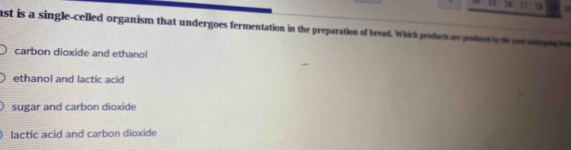 16 1 18 5
ast is a single-celled organism that undergoes fermentation in the preparation of bread. Which products are produced by the st otepag h
carbon dioxide and ethanol
ethanol and lactic acid
sugar and carbon dioxide
lactic acid and carbon dioxide