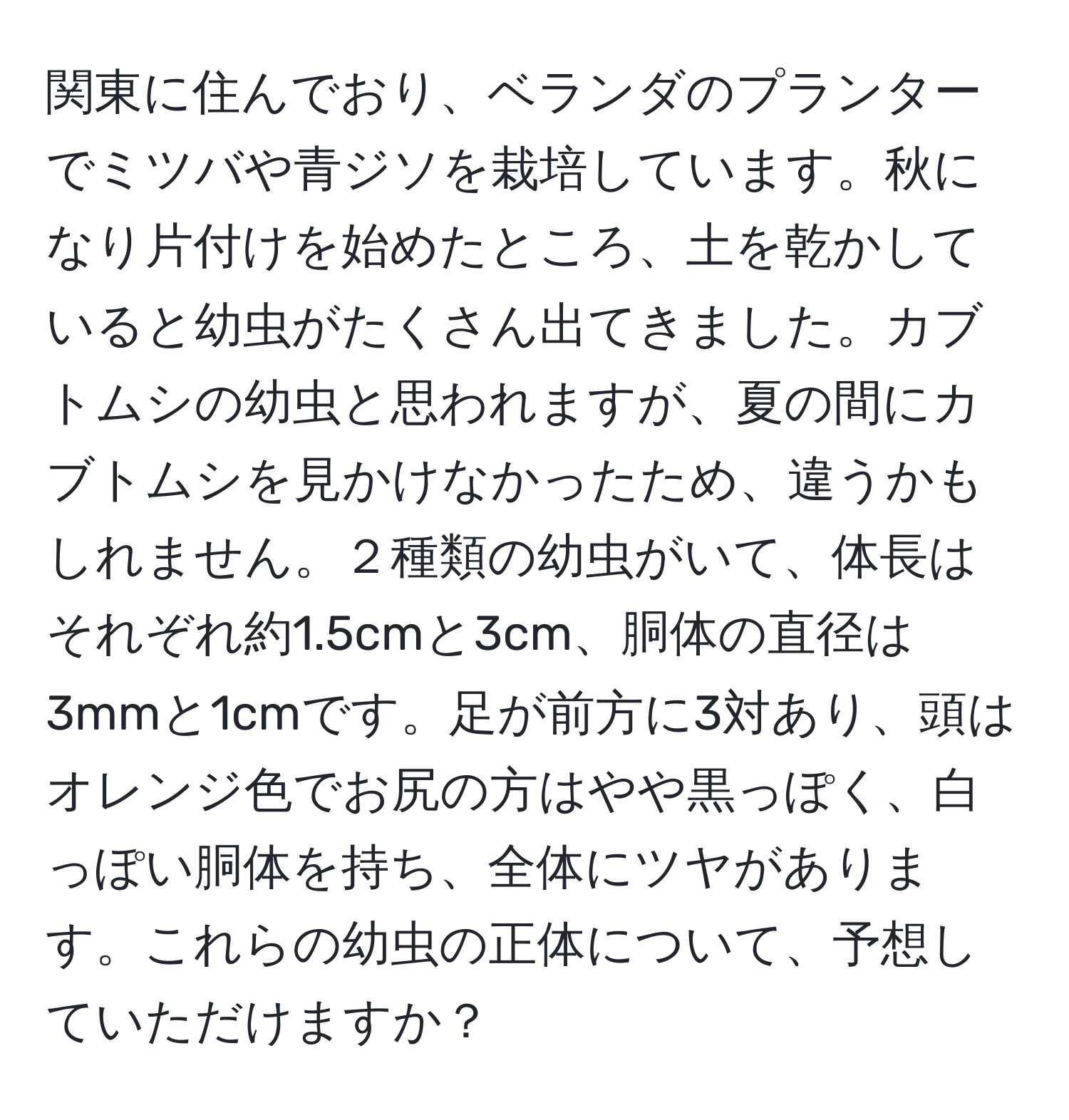 関東に住んでおり、ベランダのプランターでミツバや青ジソを栽培しています。秋になり片付けを始めたところ、土を乾かしていると幼虫がたくさん出てきました。カブトムシの幼虫と思われますが、夏の間にカブトムシを見かけなかったため、違うかもしれません。２種類の幼虫がいて、体長はそれぞれ約1.5cmと3cm、胴体の直径は3mmと1cmです。足が前方に3対あり、頭はオレンジ色でお尻の方はやや黒っぽく、白っぽい胴体を持ち、全体にツヤがあります。これらの幼虫の正体について、予想していただけますか？