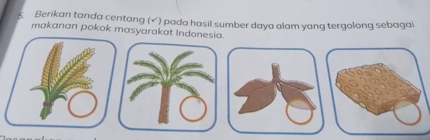 Berikan tanda centang (√) pada hasil sumber daya alam yang tergolong sebagai 
makanan pokok masyarakat Indonesia.