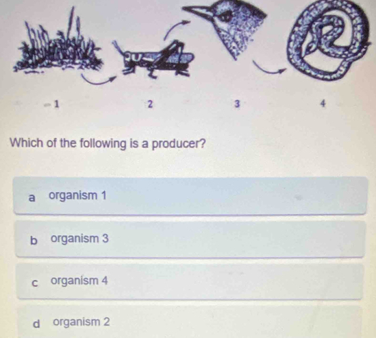 Which of the following is a producer?
a organism 1
b organism 3
c organism 4
d organism 2