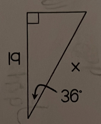 19 
×
36°