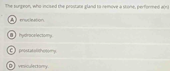 The surgeon, who incised the prostate gland to remove a stone, performed a(n)
A enucleation
B hydrocelectomy.
C prostatolithotomy.
D vesiculectomy.