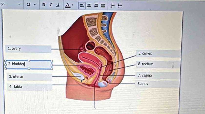 bri 12 B I u A