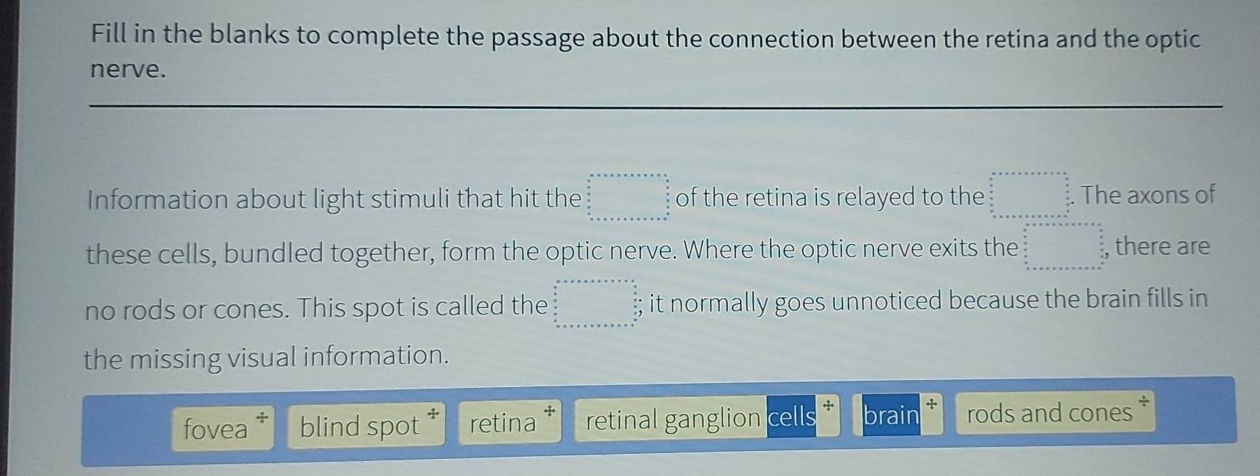 Fill in the blanks to complete the passage about the connection between the retina and the optic
nerve.
Information about light stimuli that hit the beginarrayr a+b+a+x+x+x=a  a/a =a+x+a+x+a+x=a^2a b+x+a+x+a+x=a^(frac a)a  a/a  b+x+a+x+a+x=a^(frac a)a  a/a endarray of the retina is relayed to the beginarrayr a+x+a+x=c+x=a=c+c an frac a b+x+a+x+a+x=c+b+b+a b+a+c+a+b b+c+a+b+c+c+c+a+b+c+a+b b+c+a+b+c+c+a+b b+c+a+b+c+c+a+b+c+a+b+c+a+bendarray The axons of
these cells, bundled together, form the optic nerve. Where the optic nerve exits the beginarrayr a+x&b+c+·s &x-x==n under under under underline+r+w+w+w+w+w+w+w+w+a underlin unden under+arv+w+w+w+w+w+w+w+w+w+w+w+w+w+w+w+w+w+w+w+ww , there are
no rods or cones. This spot is called the beginarrayr a+x+a+a+x=x+a  a/x  + y=x+x+a+a+a+x=a+xy wa+x+a+x+a^(2 +x+a+x+a+a+x+)endarray. ; it normally goes unnoticed because the brain fills in
the missing visual information.
fovea blind spot retina retinal ganglion cells brain rods and cones