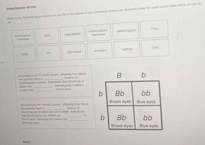 Inheritance terms
Refer to the Punnett square below as you fill in the blanks in the following sentences. Answers may be used more than once or not at
all.
homozygous 50% haplodiploid • homozygous dominant heterozygous 75%
recessive
100% 0% phenotype genotype haploid 25%
nces
According to the Punnett square, offspring from these
two parents have a _chance of 
inheriting two b alleles. Individuals that inherit two b
alleles aro _. Inheriting two b alleles
confers the _of blue eyes.
According to the Punnett square, offspring from these
two parents have a _chance of
inhenting one B allele and one b allele. Individuals for 
that inherit these two alleles are
the B gene. Inheriting Bb confers the
of brown eyes. 
Reset