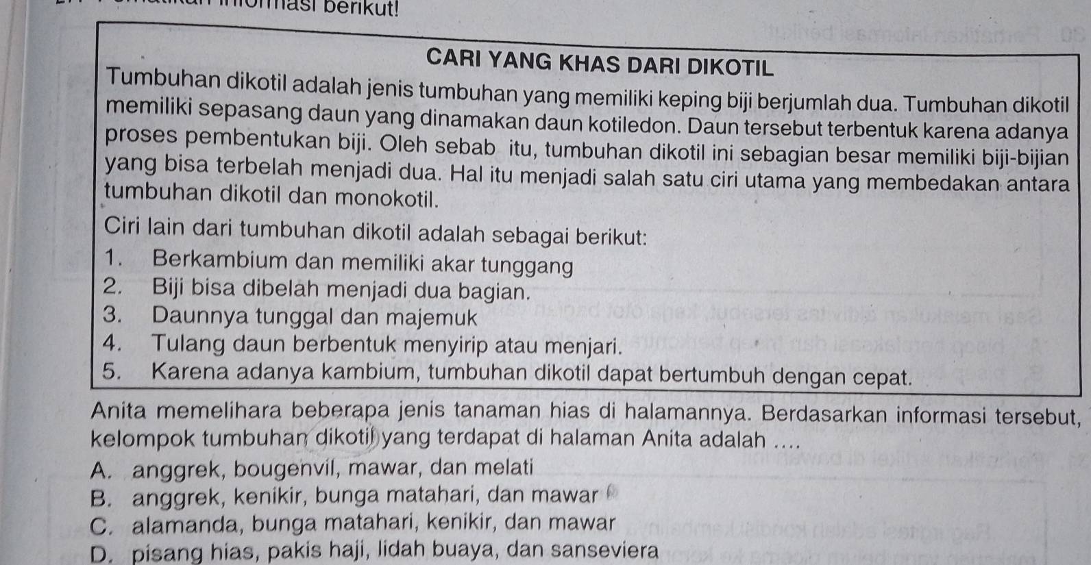 ormast berikut!
CARI YANG KHAS DARI DIKOTIL
Tumbuhan dikotil adalah jenis tumbuhan yang memiliki keping biji berjumlah dua. Tumbuhan dikotil
memiliki sepasang daun yang dinamakan daun kotiledon. Daun tersebut terbentuk karena adanya
proses pembentukan biji. Oleh sebab itu, tumbuhan dikotil ini sebagian besar memiliki biji-bijian
yang bisa terbelah menjadi dua. Hal itu menjadi salah satu ciri utama yang membedakan antara
tumbuhan dikotil dan monokotil.
Ciri lain dari tumbuhan dikotil adalah sebagai berikut:
1. Berkambium dan memiliki akar tunggang
2. Biji bisa dibelah menjadi dua bagian.
3. Daunnya tunggal dan majemuk
4. Tulang daun berbentuk menyirip atau menjari.
5. Karena adanya kambium, tumbuhan dikotil dapat bertumbuh dengan cepat.
Anita memelihara beberapa jenis tanaman hias di halamannya. Berdasarkan informasi tersebut,
kelompok tumbuhan dikotil yang terdapat di halaman Anita adalah ....
A. anggrek, bougenvil, mawar, dan melati
B. anggrek, kenikir, bunga matahari, dan mawar
C. alamanda, bunga matahari, kenikir, dan mawar
D. pisang hias, pakis haji, lidah buaya, dan sanseviera