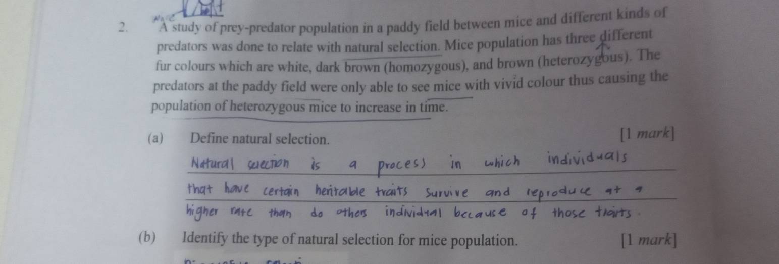 A study of prey-predator population in a paddy field between mice and different kinds of 
predators was done to relate with natural selection. Mice population has three different 
fur colours which are white, dark brown (homozygous), and brown (heterozygous). The 
predators at the paddy field were only able to see mice with vivid colour thus causing the 
population of heterozygous mice to increase in time. 
(a) Define natural selection. 
[1 mark] 
_ 
__ 
(b) Identify the type of natural selection for mice population. [1 mark]