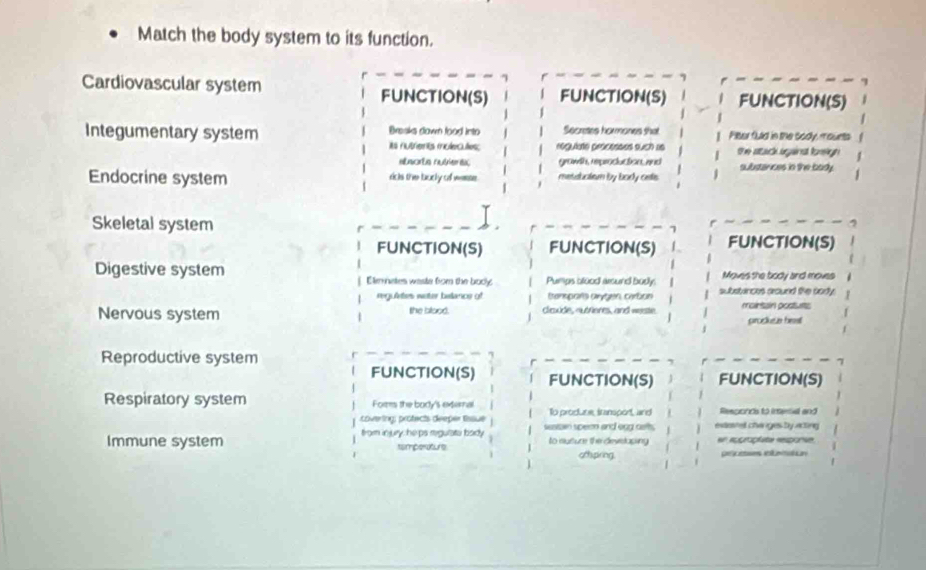 Match the body system to its function. 
Cardiovascular system FUNCTION(S) FUNCTION(S) FUNCTION(S) 
Integumentary system Bresks dawn food into Secretes hormones that Plur fuld in the sody, mounts 
Its nutrents muleculles; regulate processes such as the stack ogainst forelgn 
ataorts nuvieres grawith, rmprocueton nnd substances in the body. 
Endocrine system ricks the budly of wate. metabuatiem by body cetis 
Skeletal system 
FUNCTION(S) FUNCTION(S) FUNCTION(S) 
Moves the body and moves 
Digestive system Elemnates wasts for the body: Pumps blood aound Body. substances aroued the body. 
reguletes water belance of ttenparts arygen, cerbon 
Nervous system the blood. clcxide, outrieres, and weeste mointain posturts 
prodkes hest 
Reproductive system 
FUNCTION(S) FUNCTION(S) FUNCTION(S) 
Respiratory system Formes the body's exernal To produne, iransport, and Responds to imernal and 
covering: profects deeper Essue 
from injury, he ps regulate bady sesiten speen and eng cat. extosted cheriges by acting 
Immune system tamperature to isusure the deveslaping en rogrophite response 
othspring. Dctaes emitoa