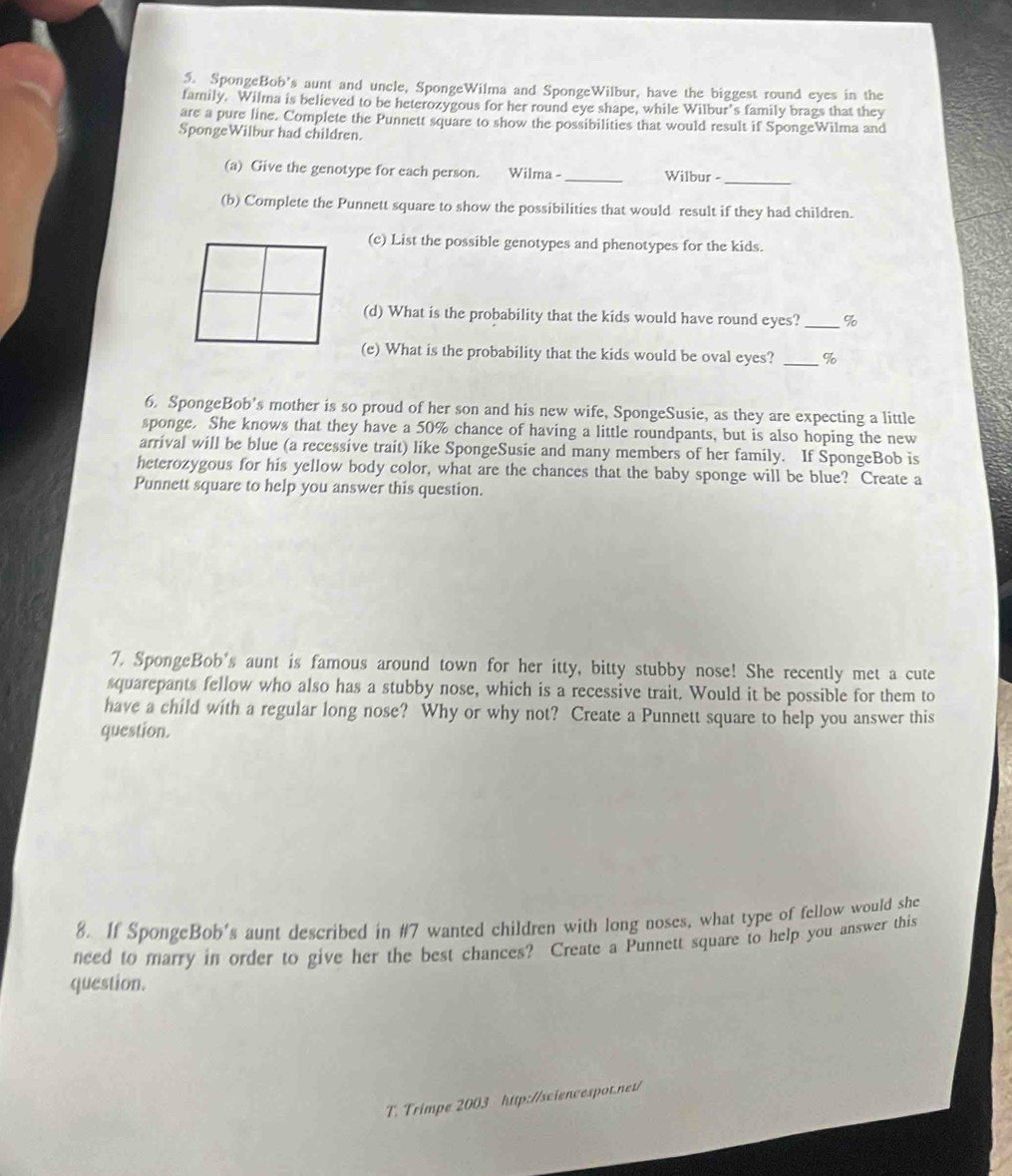 SpongeBob's aunt and uncle, SpongeWilma and SpongeWilbur, have the biggest round eyes in the 
family. Wilma is believed to be heterozygous for her round eye shape, while Wilbur’s family brags that they 
are a pure line. Complete the Punnett square to show the possibilities that would result if SpongeWilma and 
SpongeWilbur had children. 
(a) Give the genotype for each person. Wilma - _Wilbur - 
_ 
(b) Complete the Punnett square to show the possibilities that would result if they had children. 
(c) List the possible genotypes and phenotypes for the kids. 
(d) What is the probability that the kids would have round eyes? _ %
(e) What is the probability that the kids would be oval eyes? _ %
6. SpongeBob's mother is so proud of her son and his new wife, SpongeSusie, as they are expecting a little 
sponge. She knows that they have a 50% chance of having a little roundpants, but is also hoping the new 
arrival will be blue (a recessive trait) like SpongeSusie and many members of her family. If SpongeBob is 
heterozygous for his yellow body color, what are the chances that the baby sponge will be blue? Create a 
Punnett square to help you answer this question. 
7. SpongeBob's aunt is famous around town for her itty, bitty stubby nose! She recently met a cute 
squarepants fellow who also has a stubby nose, which is a recessive trait. Would it be possible for them to 
have a child with a regular long nose? Why or why not? Create a Punnett square to help you answer this 
question. 
8. If SpongeBob's aunt described in #7 wanted children with long noses, what type of fellow would she 
need to marry in order to give her the best chances? Create a Punnett square to help you answer this 
question. 
T. Trimpe 2003 http://sciencespot.net/