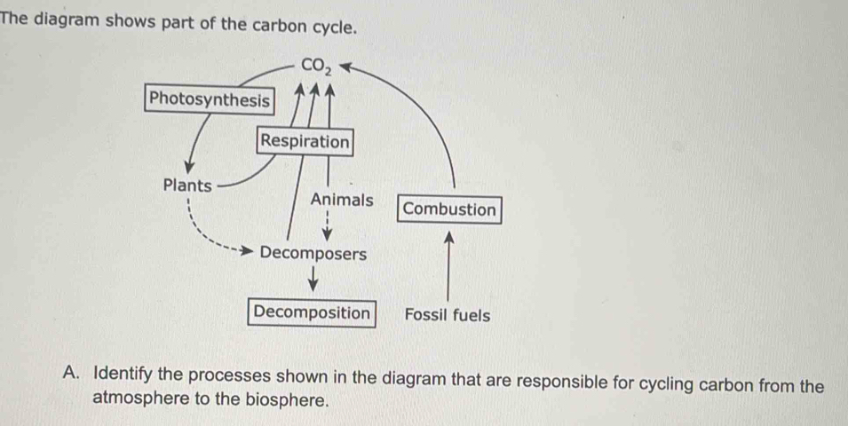 Solved: The diagram shows part of the carbon cycle. A. Identify the ...