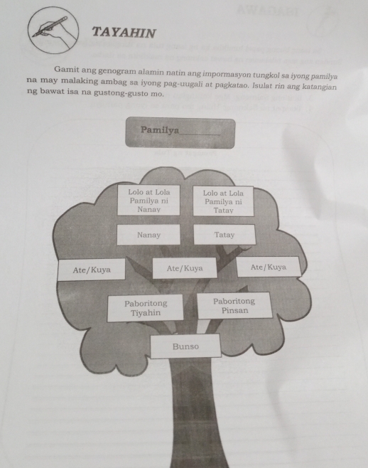 TAYAHIN 
Gamit ang genogram alamin natin ang impormasyon tungkol sa iyong pamilya 
na may malaking ambag sa iyong pag-uugali at pagkatao. Isulat rin ang katangian 
ng bawat isa na gustong-gusto mo. 
Pamilya