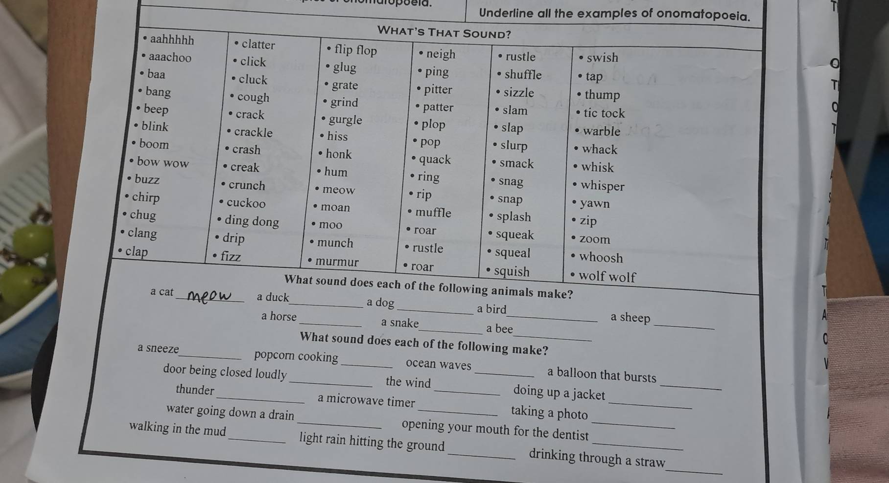 Underline all the examples of onomatopoeia.
a sheep
e a snake
_a bee
_
What sound does each of the following make?
a sneeze_ popcorn cooking _ocean waves _a balloon that bursts
door being closed loudly_ the wind_ doing up a jacket
_
thunder a microwave timer taking a photo_
water going down a drain_ opening your mouth for the dentist_
_
walking in the mud_ light rain hitting the ground_ drinking through a straw