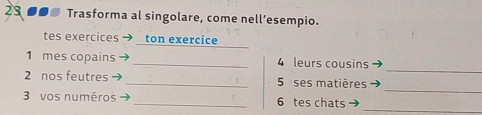 23 000 Trasforma al singolare, come nell’esempio. 
tes exercices ton exercice 
_ 
1 mes copains _ 4 leurs cousins 
_ 
2 nos feutres _ 5 ses matières 
_ 
3 vos numéros _ 6 tes chats