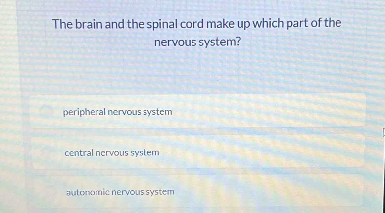 Solved: The brain and the spinal cord make up which part of the nervous ...