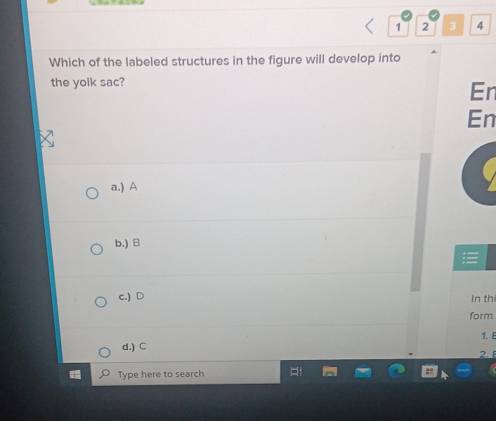 1 2 3 4
Which of the labeled structures in the figure will develop into
the yolk sac?
En
En
a.) A
b.) B
c.) D In thi
form
1. E
d.) C 2. B
Type here to search