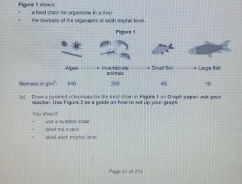 Figure 1 shows:
a food chain for organisms in a river
the biomass of the organisms at each trophic level.
(a) Draw a pyramid of biomass for the food chain in Figure 1 on Graph paper- ask your
teacher. Use Figure 2 as a guide on how to set up your graph
You should:
use a suitable scale
label the x-axis
label each trophic level.
Page 57 of 212