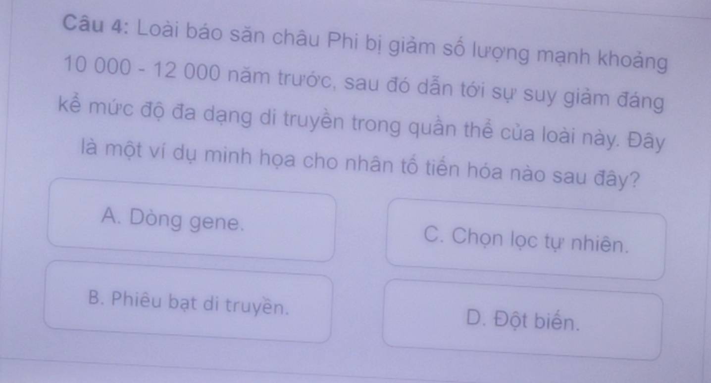 Loài báo săn châu Phi bị giảm số lượng mạnh khoảng
10 000 - 12 000 năm trước, sau đó dẫn tới sự suy giảm đáng
kể mức độ đa dạng di truyền trong quần thể của loài này. Đây
là một ví dụ minh họa cho nhân tố tiến hóa nào sau đây?
A. Dòng gene. C. Chọn lọc tự nhiên.
B. Phiêu bạt di truyền. D. Đột biến.